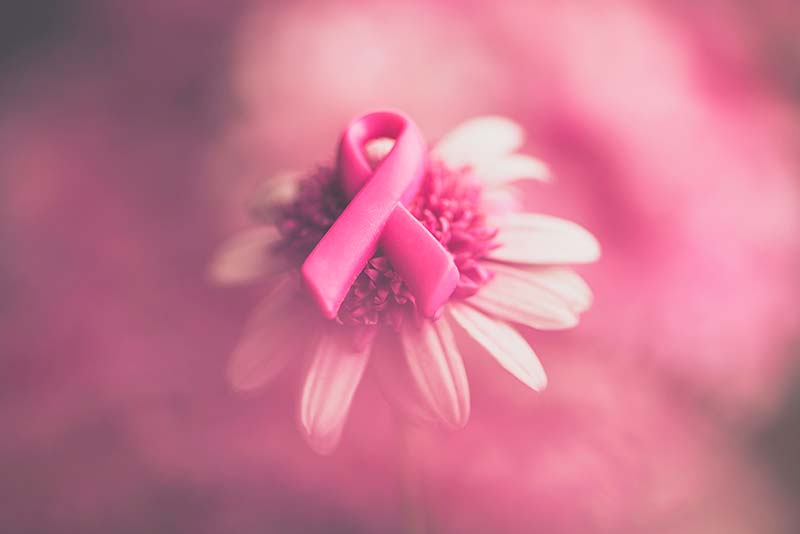The Importance of Mammograms