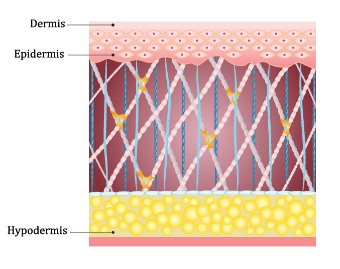 SkinLayers
