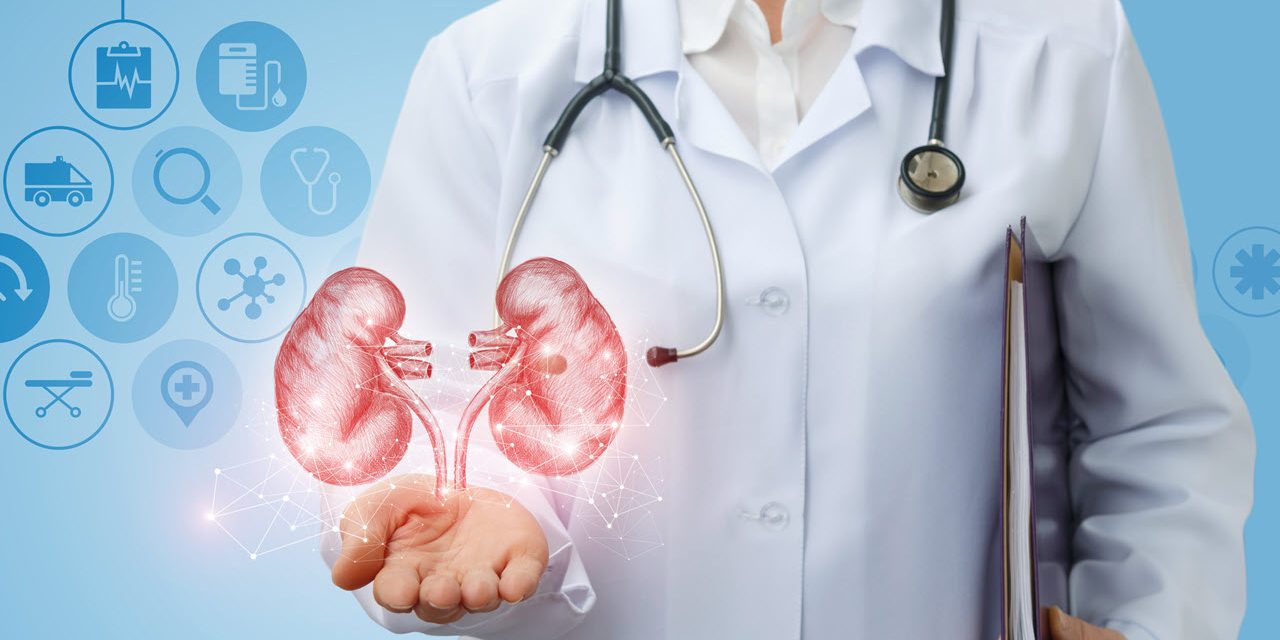 Healthy Kidneys: How to Know if Yours Are